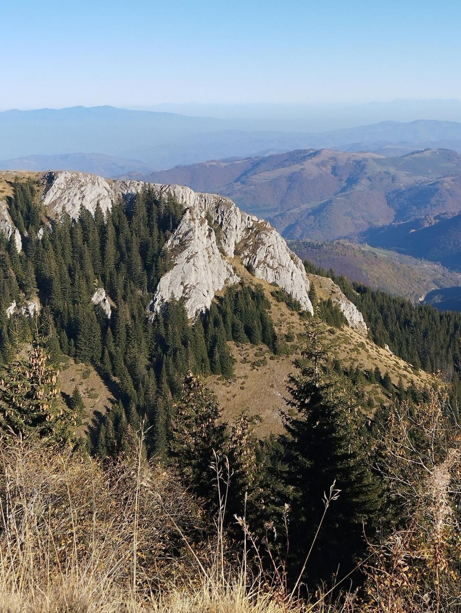 Lela Kop Appartement Kopaonik Buitenkant foto